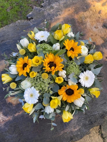 Posies