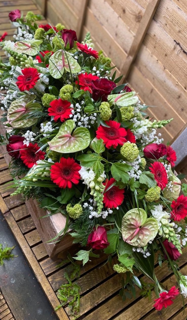 Red and Green Spray