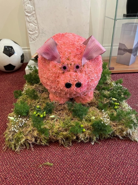 Pig Tribute