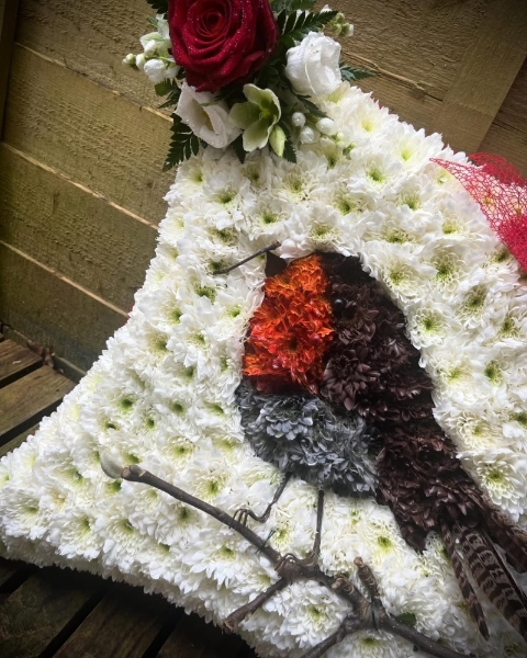 Robin Tribute